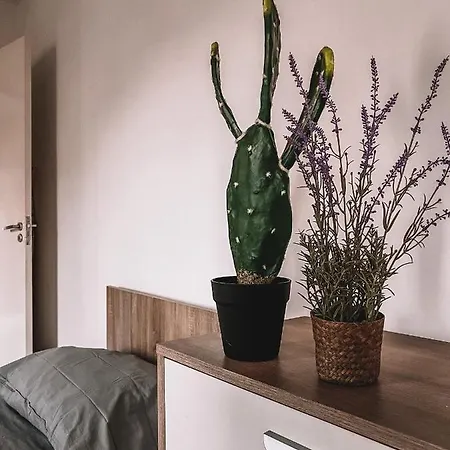 Apartman Cozy 3 Bedrooms Flat In Paceville *